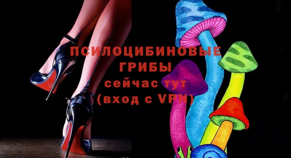 гидра Бронницы