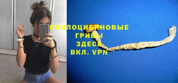 наркотики Бородино