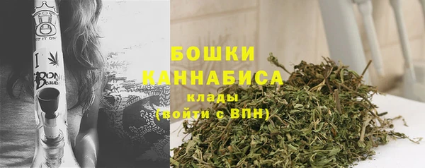 наркотики Бородино