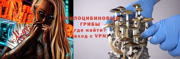 гидра Бронницы
